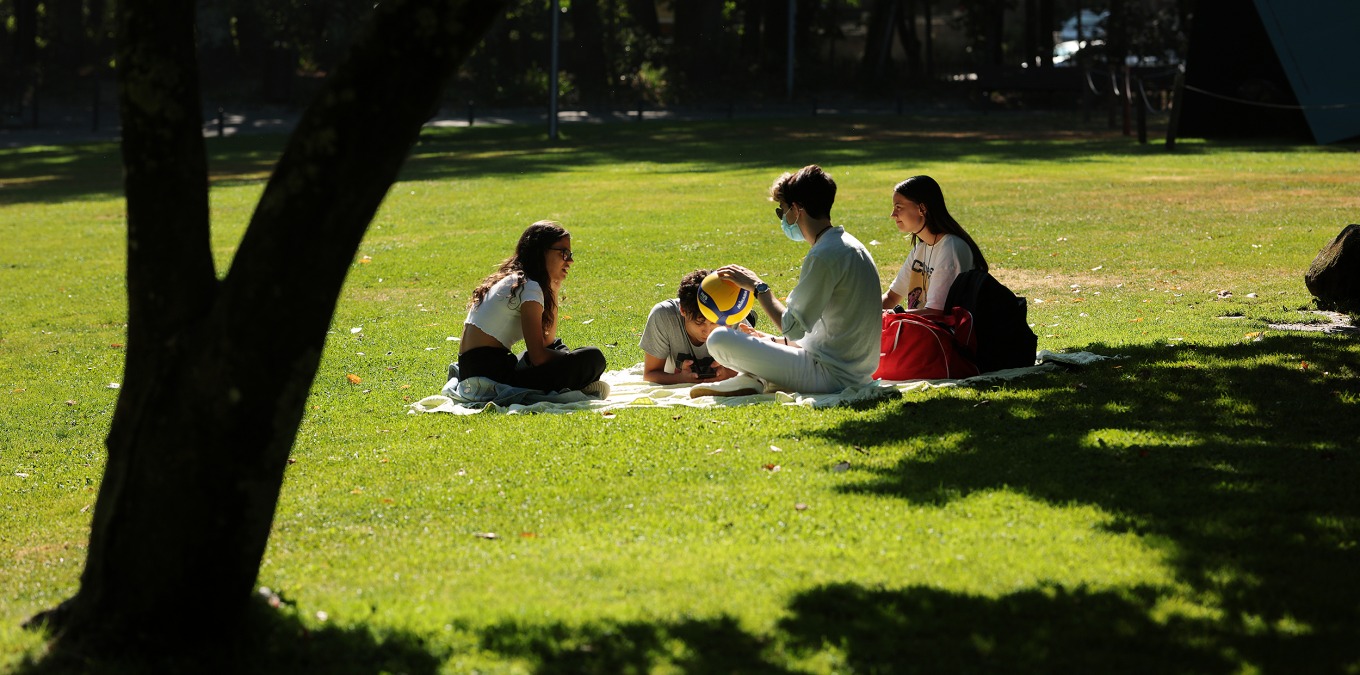 3 lugares perfeitos para fazer um piquenique em Viseu