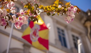 5 passos para ser FELIZ em Viseu
